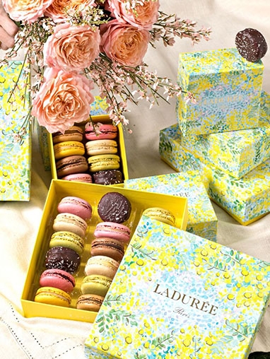 LADUREE_382x508.jpg