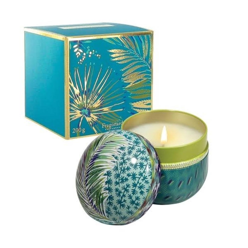 Coriandre Lemongrass Scented Candle